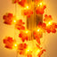 Autumn Maple Leaf Lights, 10ft 20 LED Battery Powered Double Maple Leaves Fairy Lights with 6h Timer for Autumn Fall Decorations, Thanksgiving, Halloween, Christmas