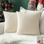 Christmas Velvet Cushion Covers Throw Pillow Case Soft Modern Decorative Square Luxury Pillowcases for Livingroom Bedroom with Invisible Zipper Set of 2 35cm x 35cm,14x14 Inches Cream White