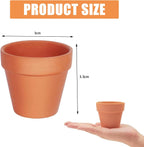 25 Pack Mini Terracotta Pots for Plants, Small Flower Pot for Succulents, Cacti, and Herb Gardening, Ideal for Indoor and Outdoor Decor