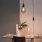 Vintage Suspended Pendant Light Ceiling Lighting Fitting, E27 Lamp Holder with 6M Plug and Switch, Industrial Plug in Ceiling Lights, Retro Cage Hanging Lights Plug in Pendant Lights for Loft