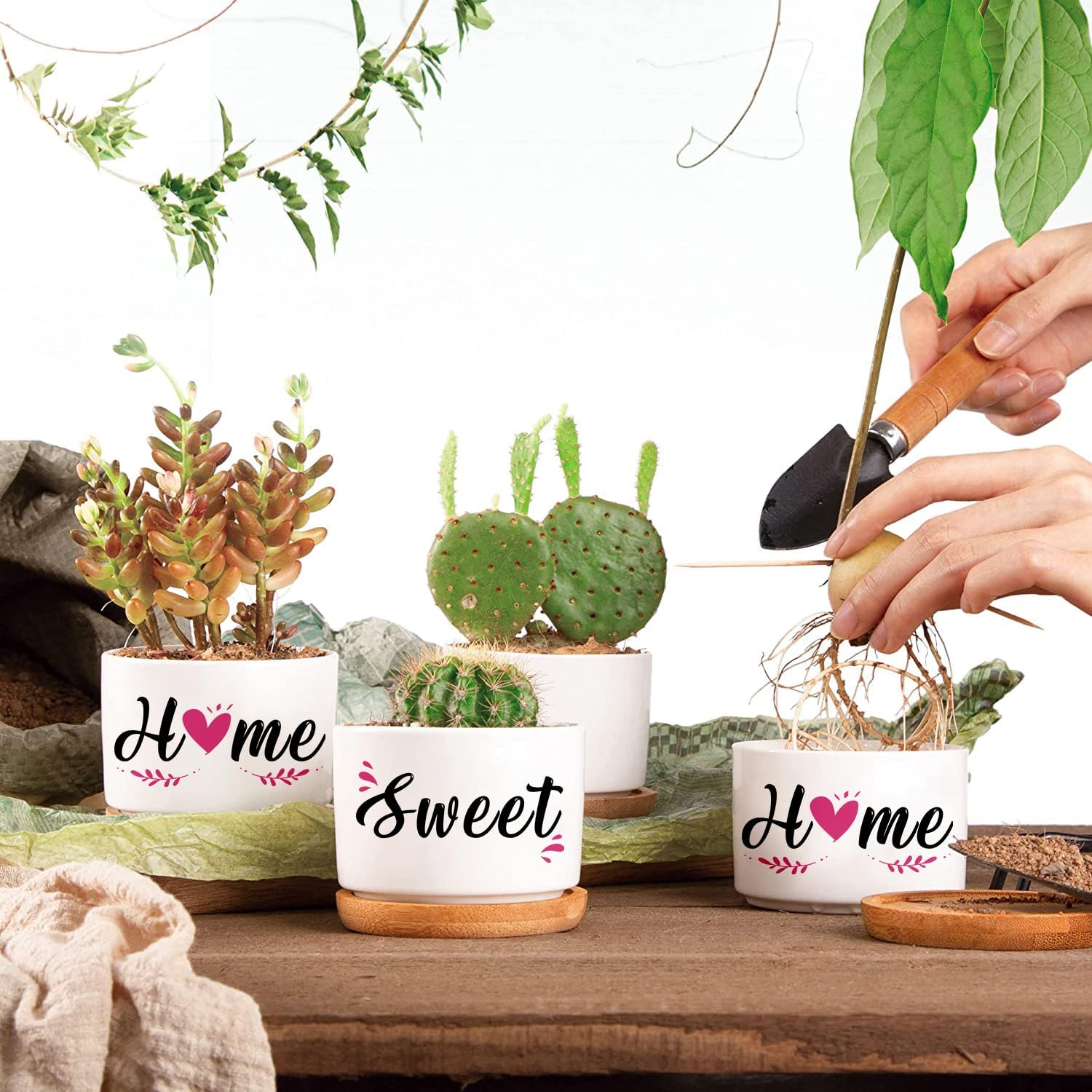 Buioata New Home Gifts, 'Home Sweet Home' Succulent Pots, House Warming Gifts for Couple, Housewarming Gifts for Friends Neighbor