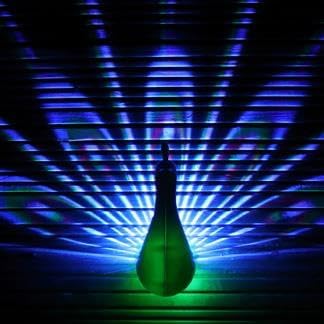 Percy Peacock Wall Light, 20 cm, Battery Operated (Pack of 1)