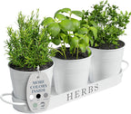 Barnyard Designs Herb Pot Planter Set with Tray for Indoor Garden or Outdoor Use, Decorative White Metal Succulent Potted Planters for Kitchen Windowsill