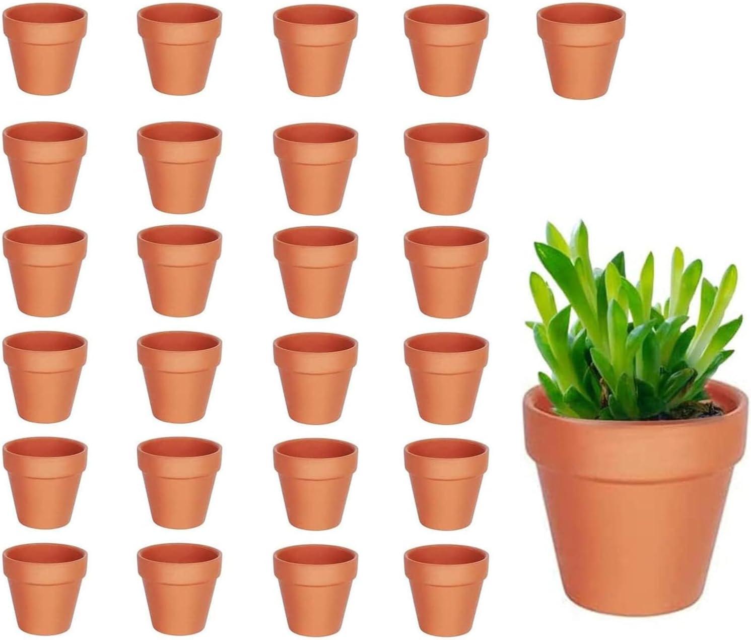 25 Pack Mini Terracotta Pots for Plants, Small Flower Pot for Succulents, Cacti, and Herb Gardening, Ideal for Indoor and Outdoor Decor Main image