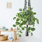 Artificial Plant Decorative Modern Living Room Balcony Bedroom Bathroom Room Table Decoration (Pack of 1)