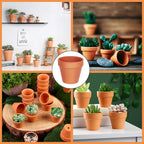 25 Pack Mini Terracotta Pots for Plants, Small Flower Pot for Succulents, Cacti, and Herb Gardening, Ideal for Indoor and Outdoor Decor