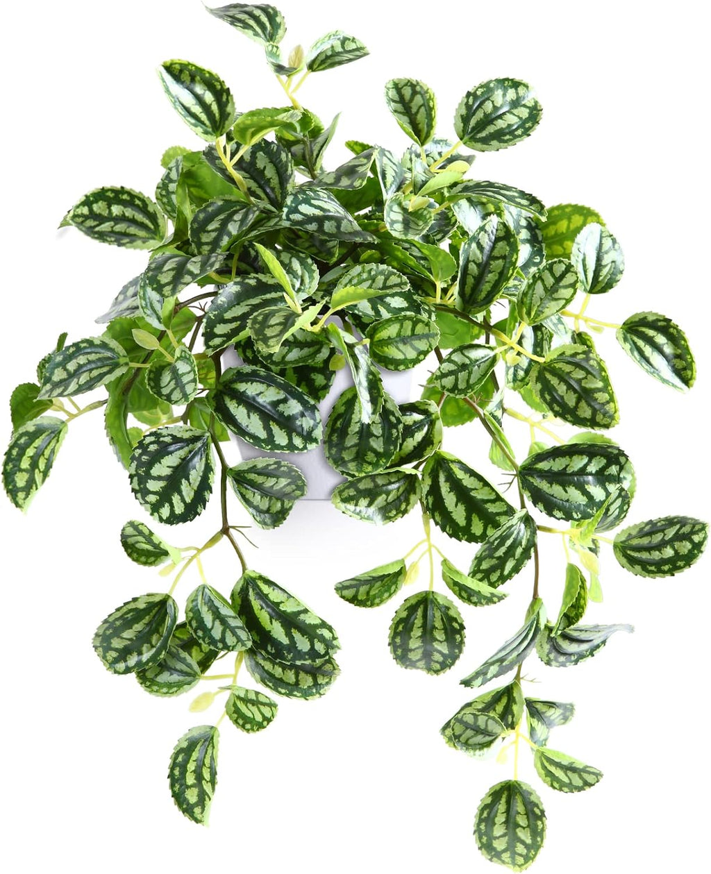 Artificial Plant Decorative Modern Living Room Balcony Bedroom Bathroom Room Table Decoration (Pack of 1)