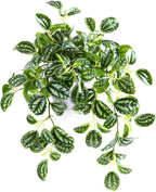 Artificial Plant Decorative Modern Living Room Balcony Bedroom Bathroom Room Table Decoration (Pack of 1)