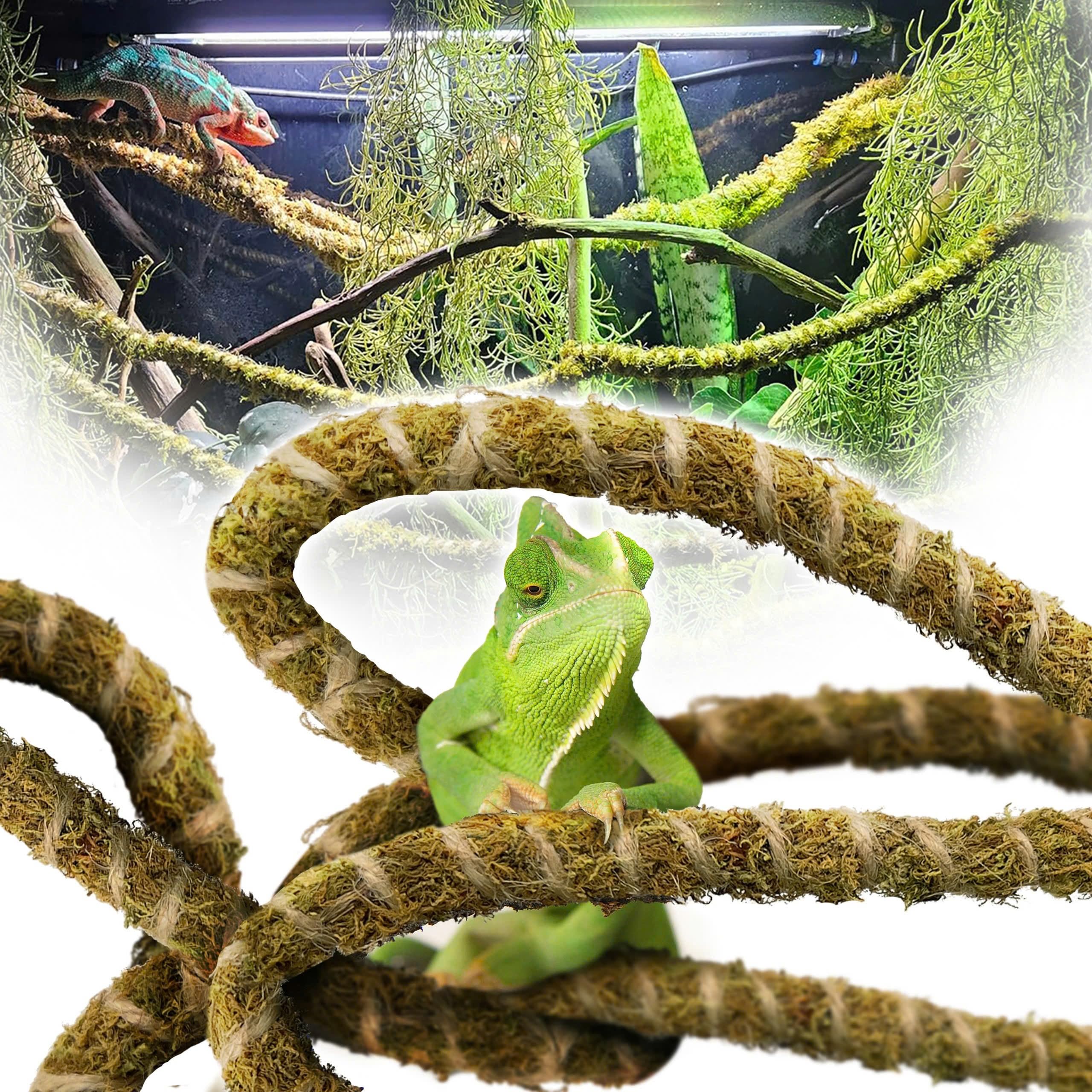 10FT Reptile Vines Climbing Bendable Branch Reptile Natural Moss Rope Jungle Decor Bearded Dragon, Chameleon Tank Accessories Amphibian Habitat - Snake Gecko Lizard Terrarium (AS)