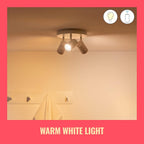 Smart LED Glass Bulb, Voice/App Control - Smart Connected WiFi Works with Alexa, Google Assistant & HomeKit, Dynamic Scenes on App Including Focus & Relax Mode, Bedroom, Party, 1 Pack