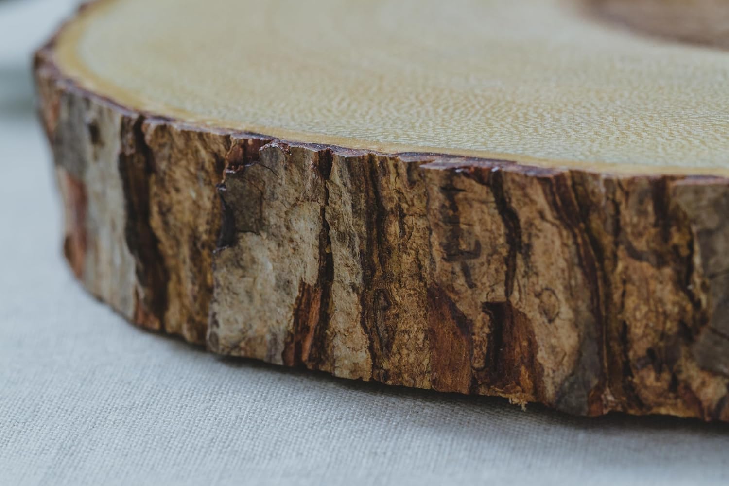 Artesà Wooden Log Slice Cheese Board, Serving Platter for Cakes, Desserts, Grazing and Buffets, 30cm (11.8''), Brown, Wood