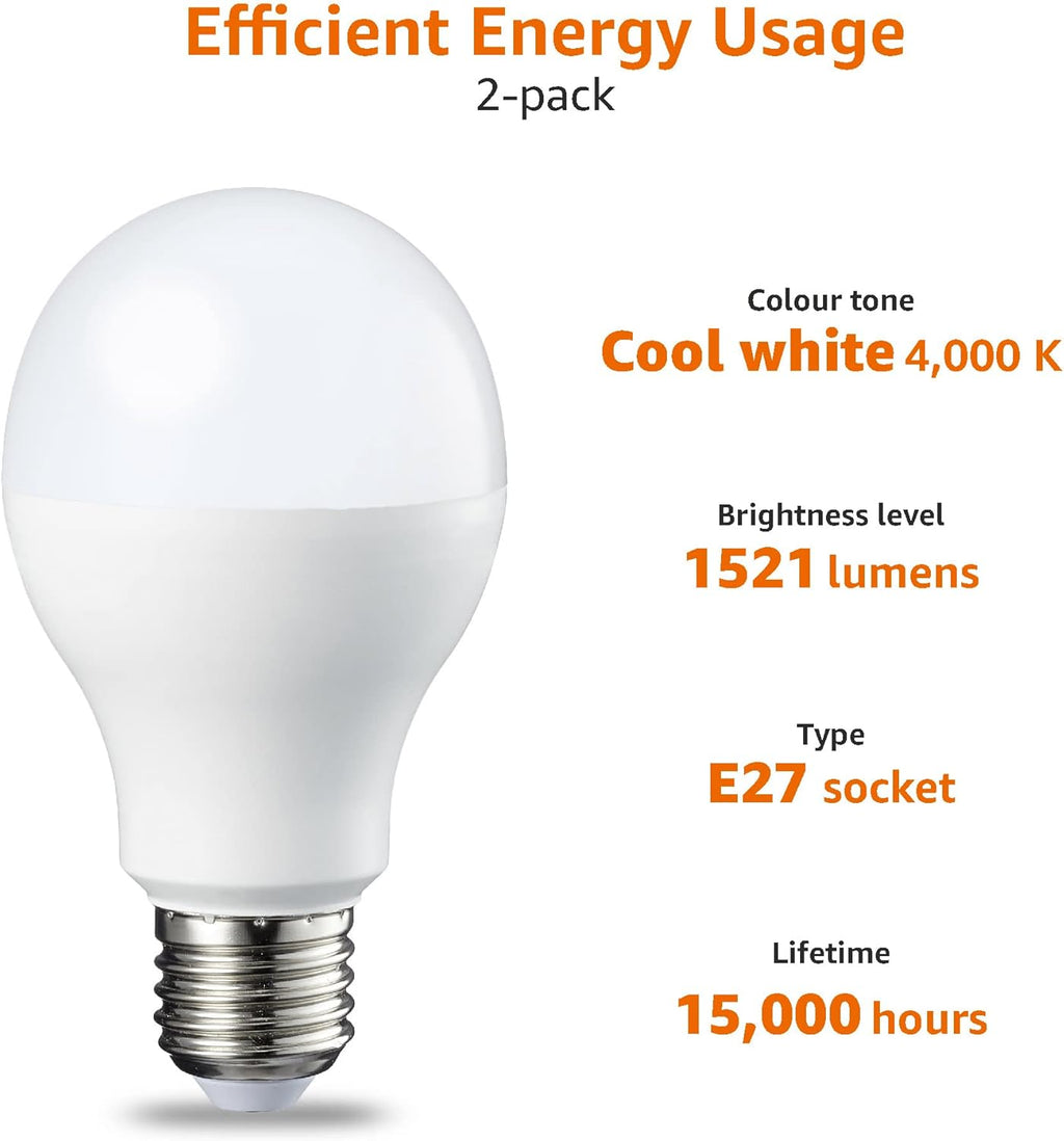 LED Bulbs, Edison Screw Thread E27, 13W (Equivalent to 100W Bulb), Cool White, not dimmable, Pack of 2