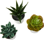 IKEA 203.953.31 FEJKA Mini Artificial Succulent Desk Plants in Pots 6 Centimetres (3 Pack)