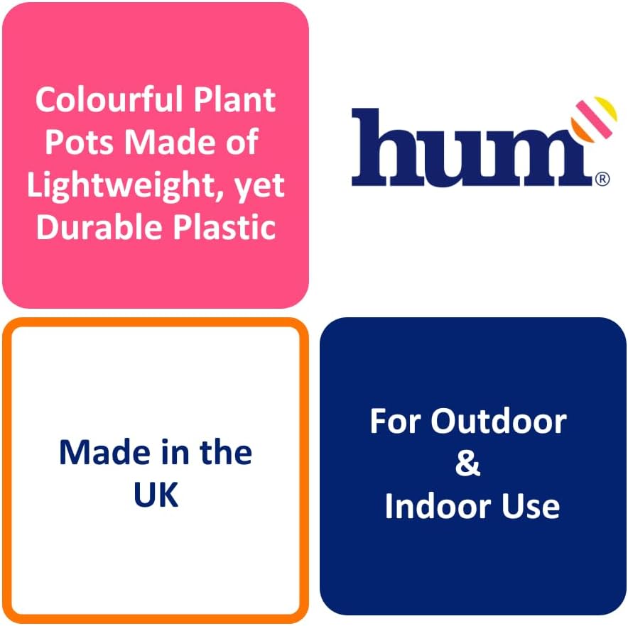 Hum Flowerpots, 22cm Set of 3, Various Patterns Colours and Sizes, Indoor/Outdoor Plastic Plant Pots, Green, Blue, Pink Maroc