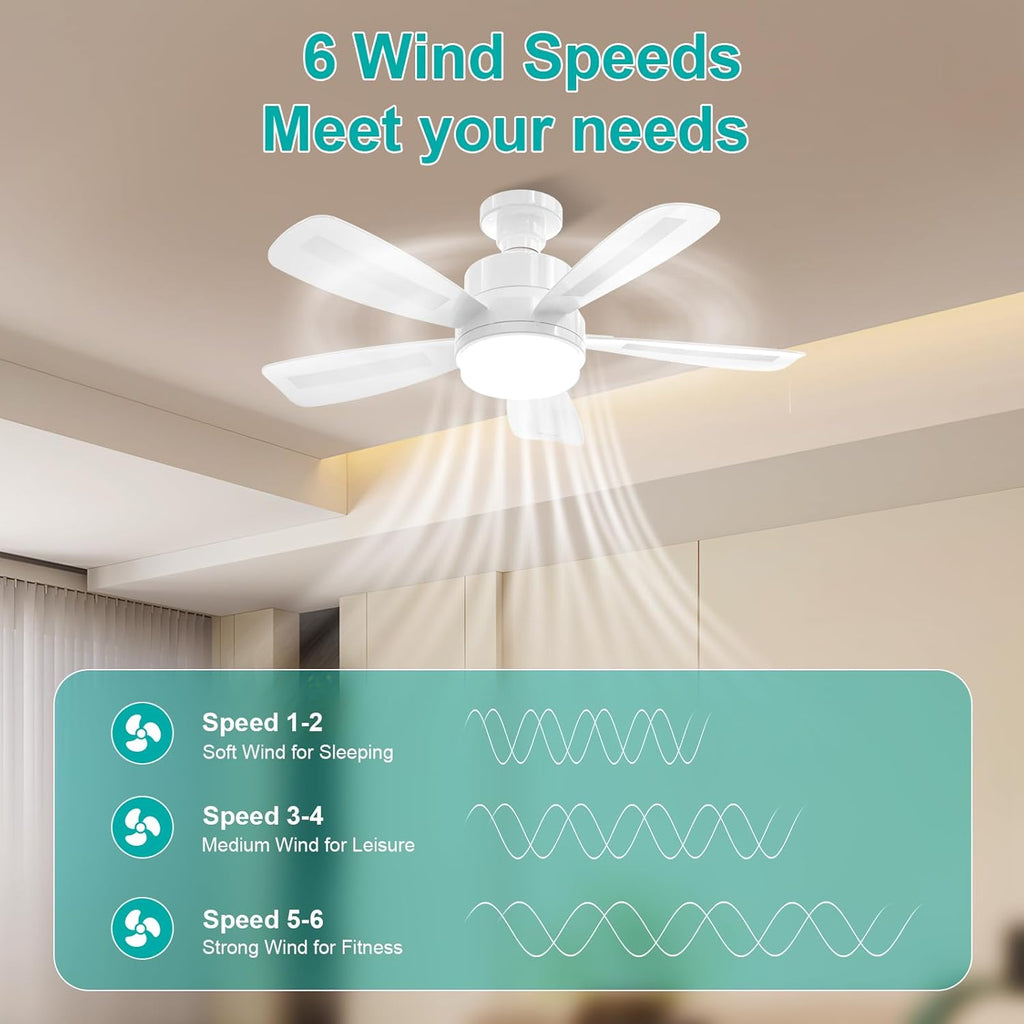 50CM LED Ceiling Fan with Remote, E27 Screw in Light, 6 Speeds, 3 Colours Stepless Dimming 2000 Lumens, Timer for Bedroom, Kitchen, Garage