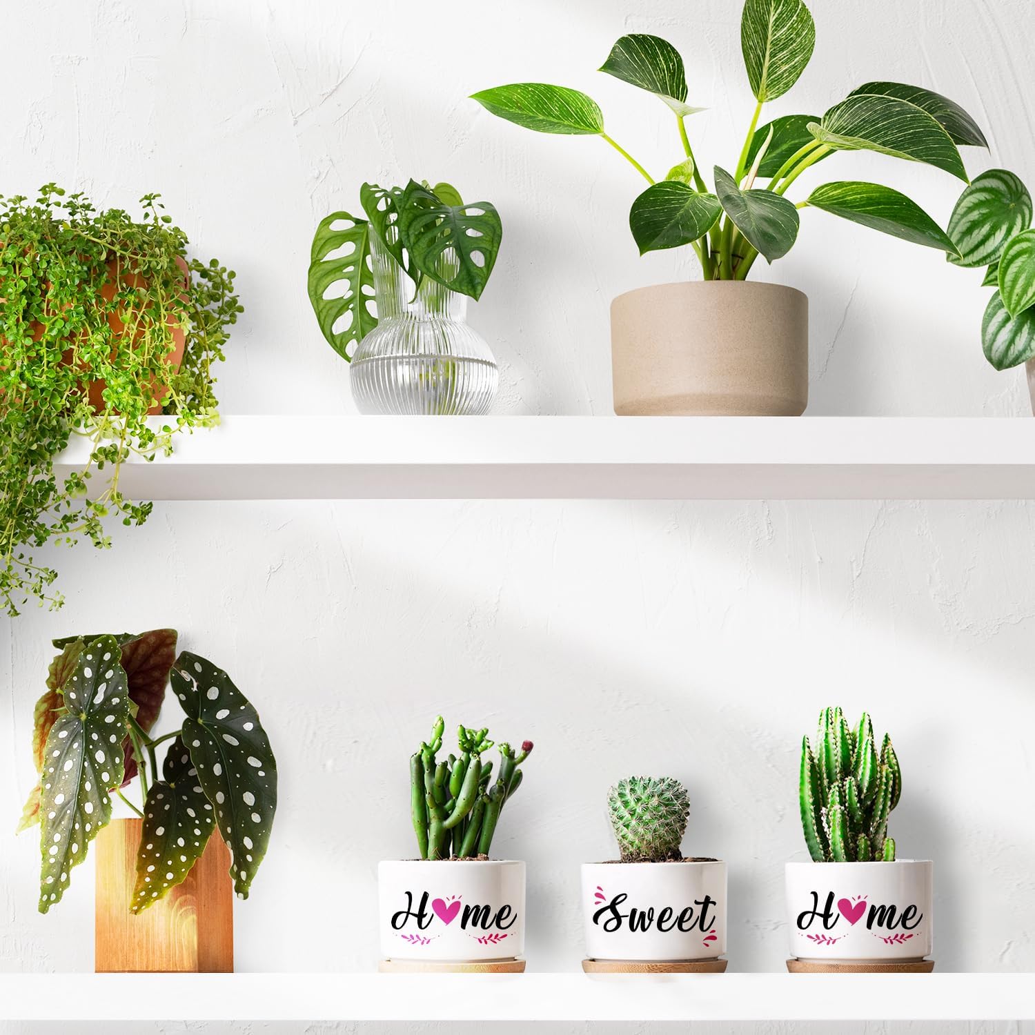 Buioata New Home Gifts, 'Home Sweet Home' Succulent Pots, House Warming Gifts for Couple, Housewarming Gifts for Friends Neighbor