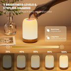 Night Light, LED Touch Bedside Table Lamp with Dimmable Light, 256 RGB Colours and 5 Brightness Levels, Timer, Hanging Hook, USB Rechargeable, Portable Lamp for Bedroom, Living Room, Kids