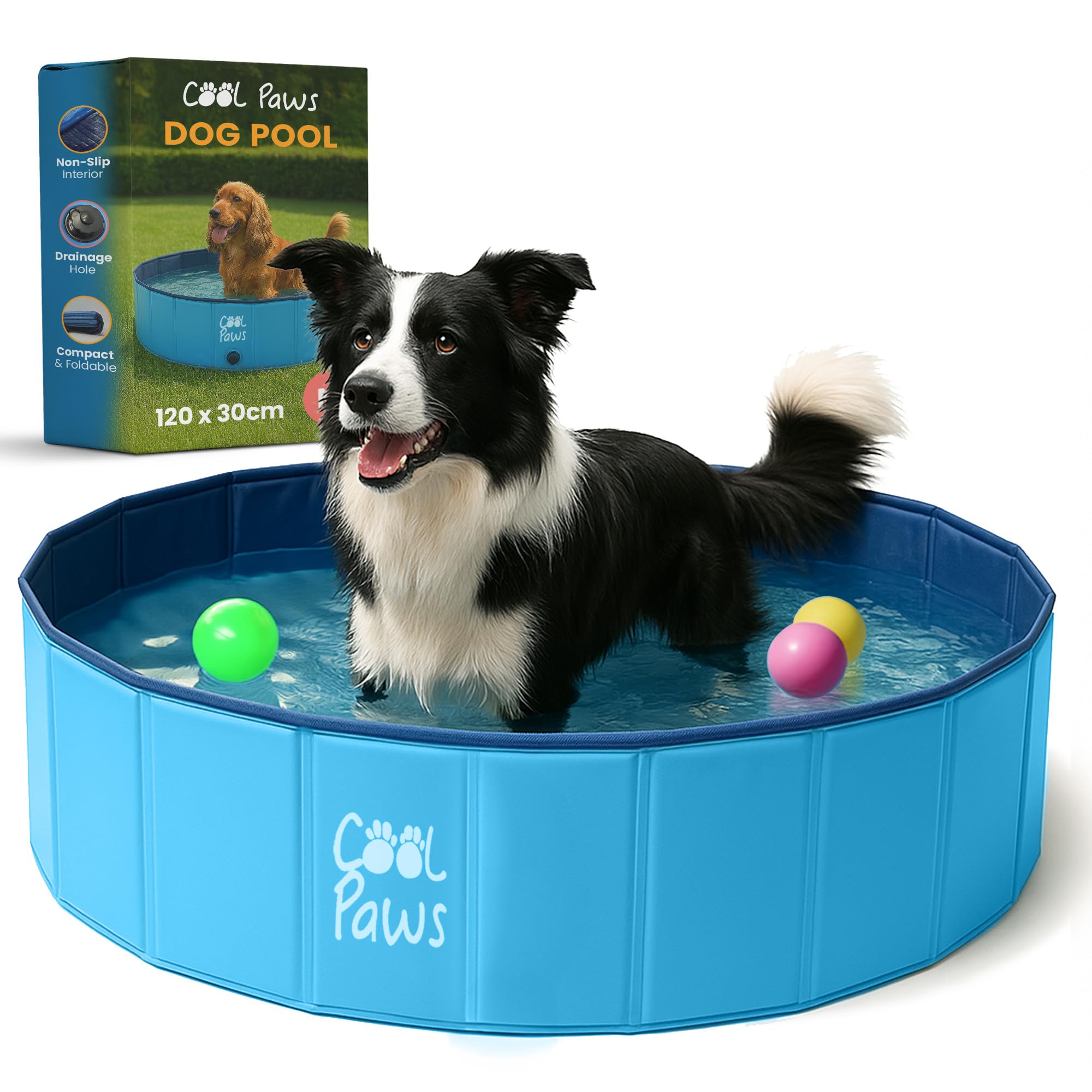 Paddling Pool – Foldable Dog Pool in Multiple Sizes (S–XL), Leakproof & Durable Hard Plastic Design, Pet Bath for Indoors, Outdoors, Garden, Patio – Blue Main image