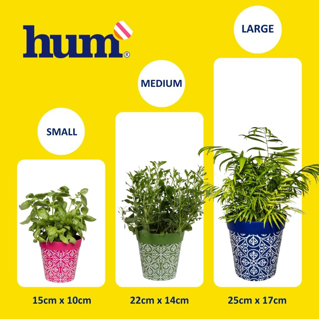 Hum Flowerpots, 22cm Set of 3, Various Patterns Colours and Sizes, Indoor/Outdoor Plastic Plant Pots, Green, Blue, Pink Maroc