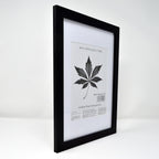 Black A4 Frame Set of 4 (21x29.7cm) with Mount for 19x14cm | Poster & Certificate Frame | Wall Mount or Table Top Display | Classic Style