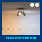 Smart LED Glass Bulb, Voice/App Control - Smart Connected WiFi Works with Alexa, Google Assistant & HomeKit, Dynamic Scenes on App Including Focus & Relax Mode, Bedroom, Party, 1 Pack