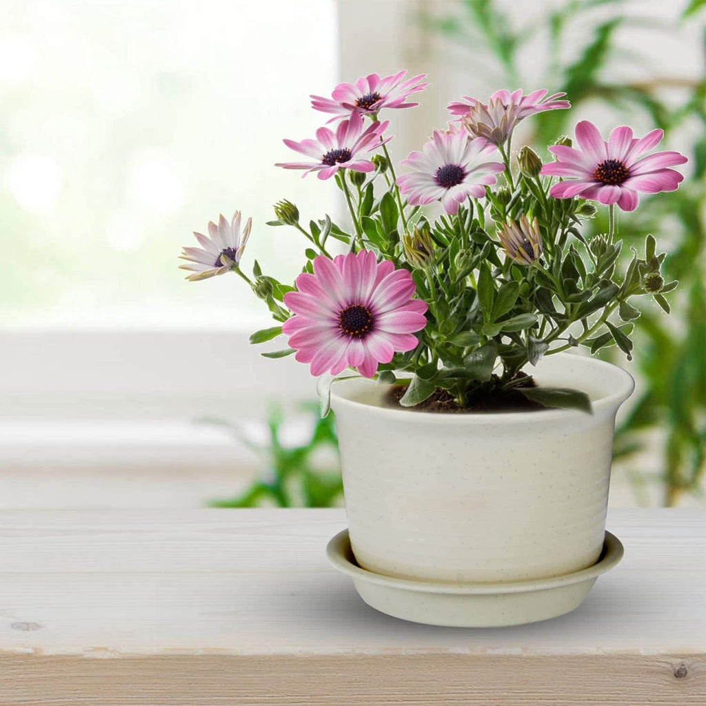 KAHEIGN 10Pcs Plastic Flower Pots, 15cm Thicken Plant Pots Plant Container Indoor Gardening Pot with Drainage Pallet (White Grey)