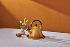 Kone Stove-Top Kettle with Whistle, Suitable for All Hob Types Including Induction, Enamelled Steel, Capacity, 1.6 L, Nectar, 40101026720000
