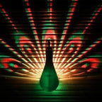 Percy Peacock Wall Light, 20 cm, Battery Operated (Pack of 1)
