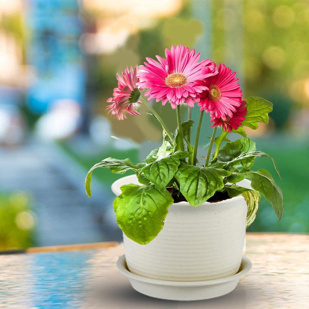 KAHEIGN 10Pcs Plastic Flower Pots, 15cm Thicken Plant Pots Plant Container Indoor Gardening Pot with Drainage Pallet (White Grey)