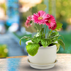 KAHEIGN 10Pcs Plastic Flower Pots, 15cm Thicken Plant Pots Plant Container Indoor Gardening Pot with Drainage Pallet (White Grey)