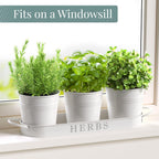 Barnyard Designs Herb Pot Planter Set with Tray for Indoor Garden or Outdoor Use, Decorative White Metal Succulent Potted Planters for Kitchen Windowsill