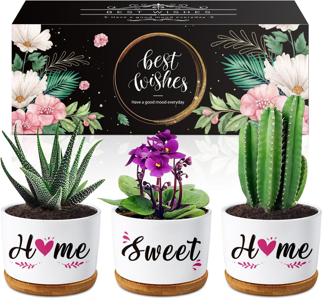Buioata New Home Gifts, 'Home Sweet Home' Succulent Pots, House Warming Gifts for Couple, Housewarming Gifts for Friends Neighbor