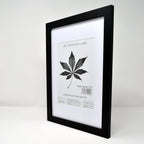 Black A4 Frame Set of 4 (21x29.7cm) with Mount for 19x14cm | Poster & Certificate Frame | Wall Mount or Table Top Display | Classic Style