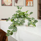 Artificial Plant Decorative Modern Living Room Balcony Bedroom Bathroom Room Table Decoration (Pack of 1)
